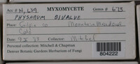 Image Associated With the Occurence